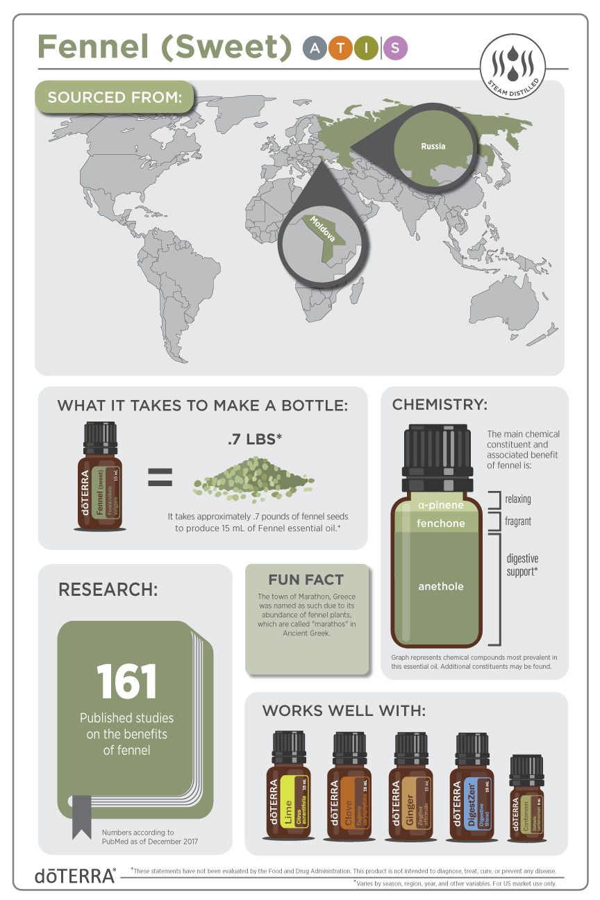 Fennel-(Sweet)_Infographic_v2.jpg
