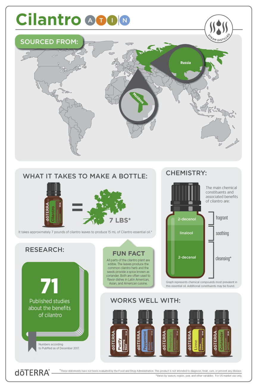 Cilantro_Infographic_v2.jpg