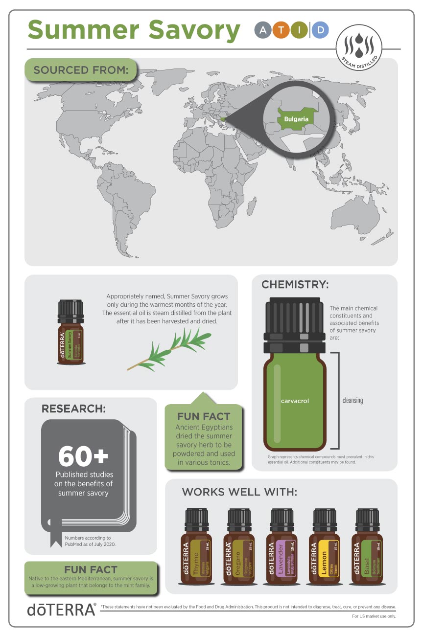 Summer-Savory Infographic