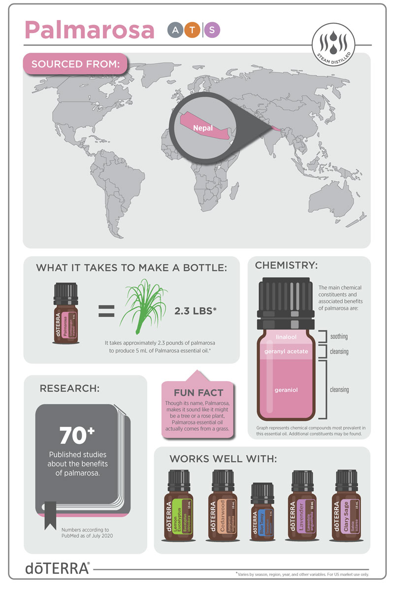 Palmarosa Infographic