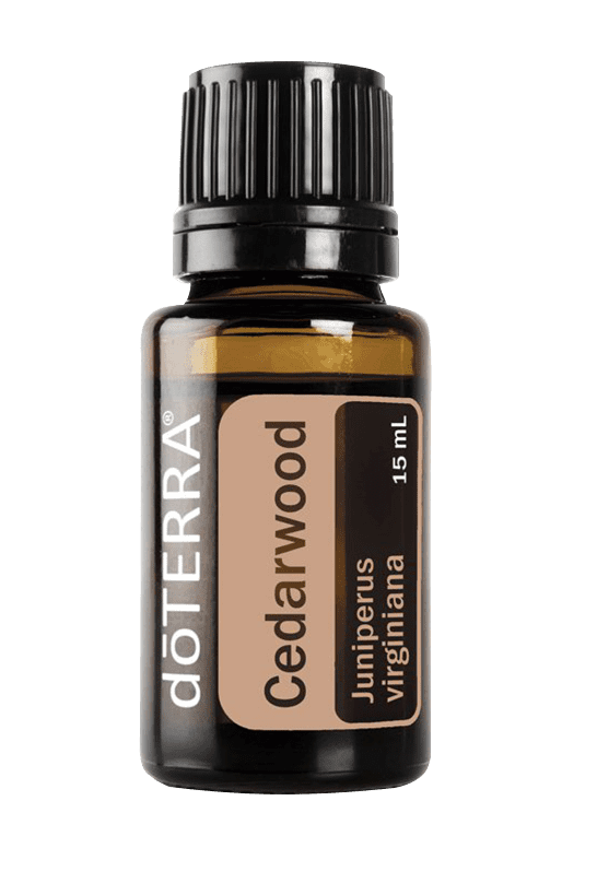 Cedarwood Essential Oil
