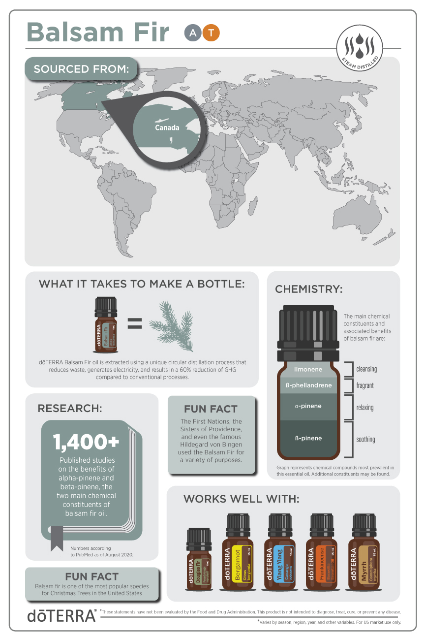 Balsam-Fir_Infographic_v2.jpg