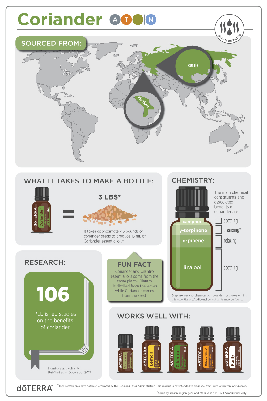 Coriander Infographic