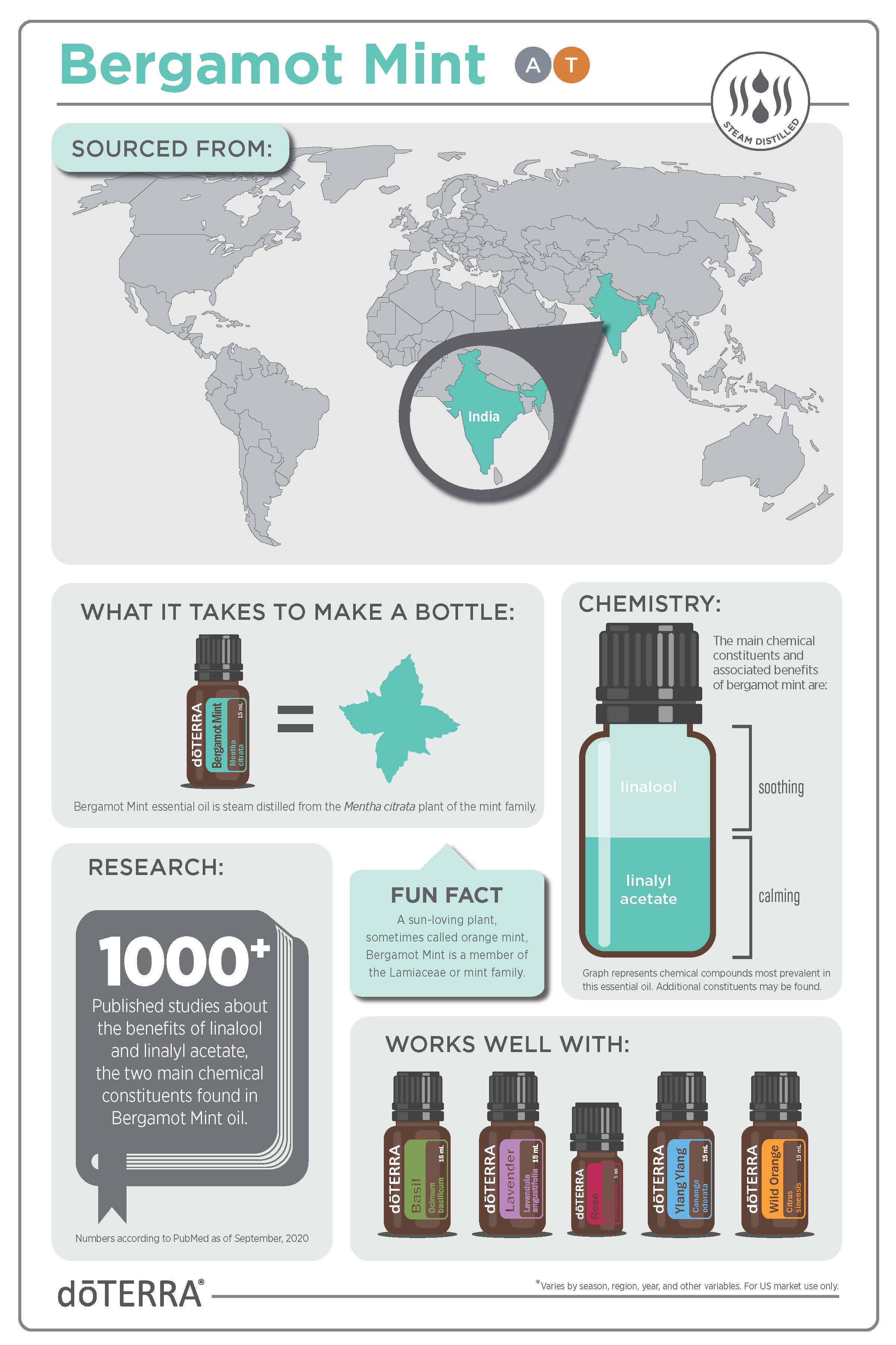 Bergamot Mint_Infographic_v1(2).jpg