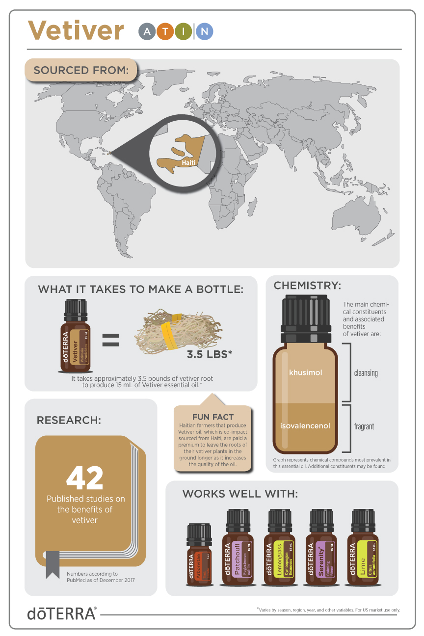 Vetiver_Infographic_v3.jpg