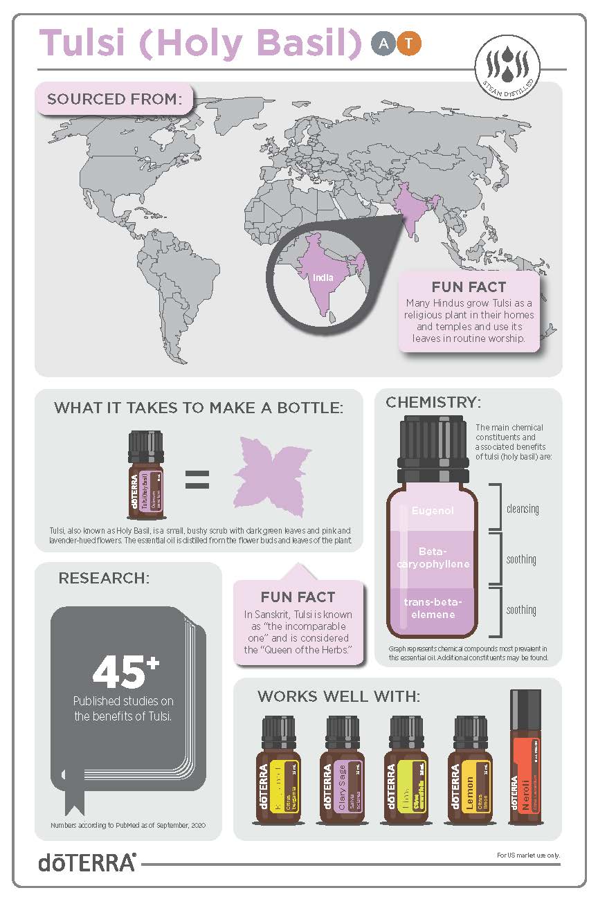 Tulsi (Holy Basil)_Infographic_v1.jpg