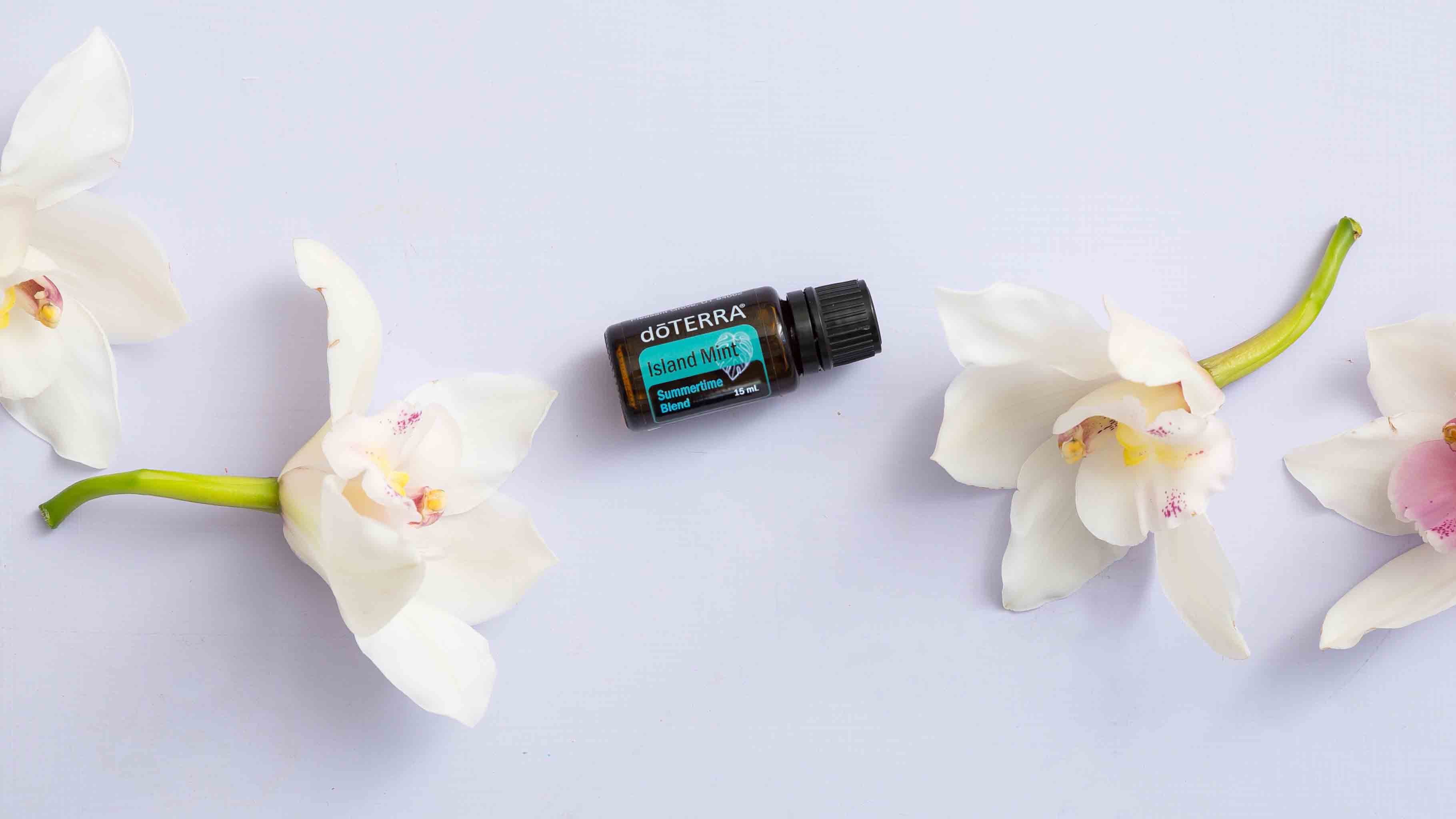 16X9 Island Mint.jpg