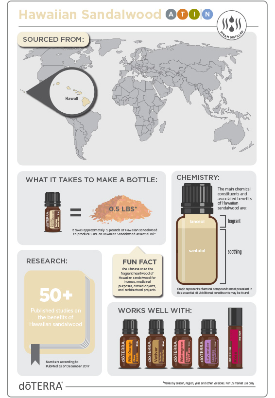 2x3-566x819-hawaiian-sandalwood-infographic-3.jpg