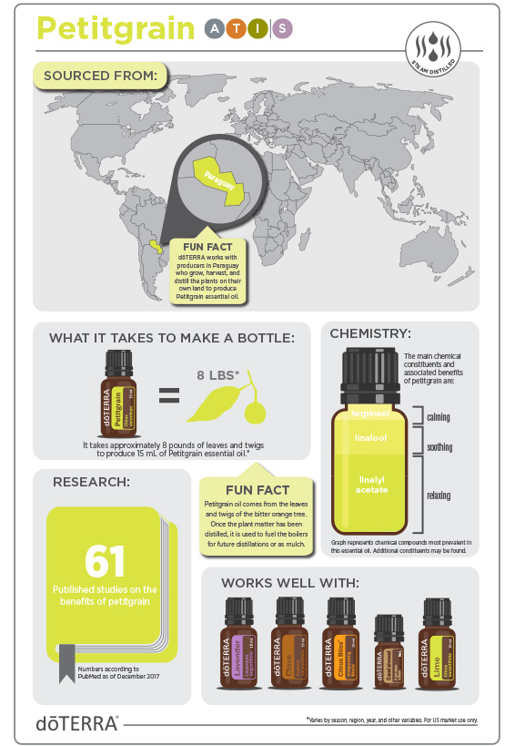 2x3-566x819-petitgrain-infographic2.jpg