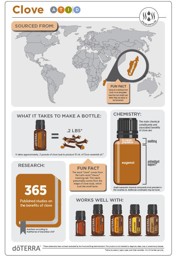 2x3-566x819-clove-infographic2.jpg
