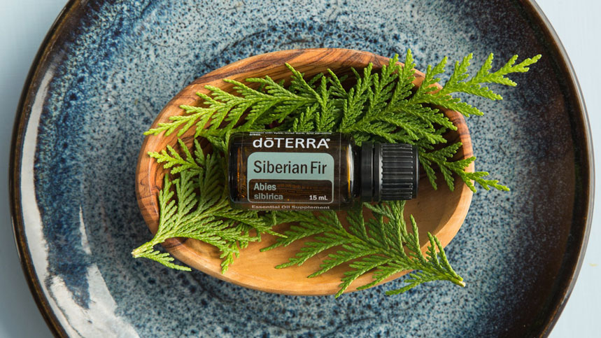 16x9_1000x500_chemistry_of_siberian_fir_oil.jpg