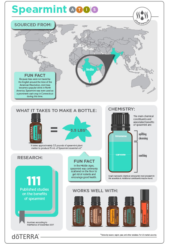 2x3-566x819-spearmint-infographic-2.jpg