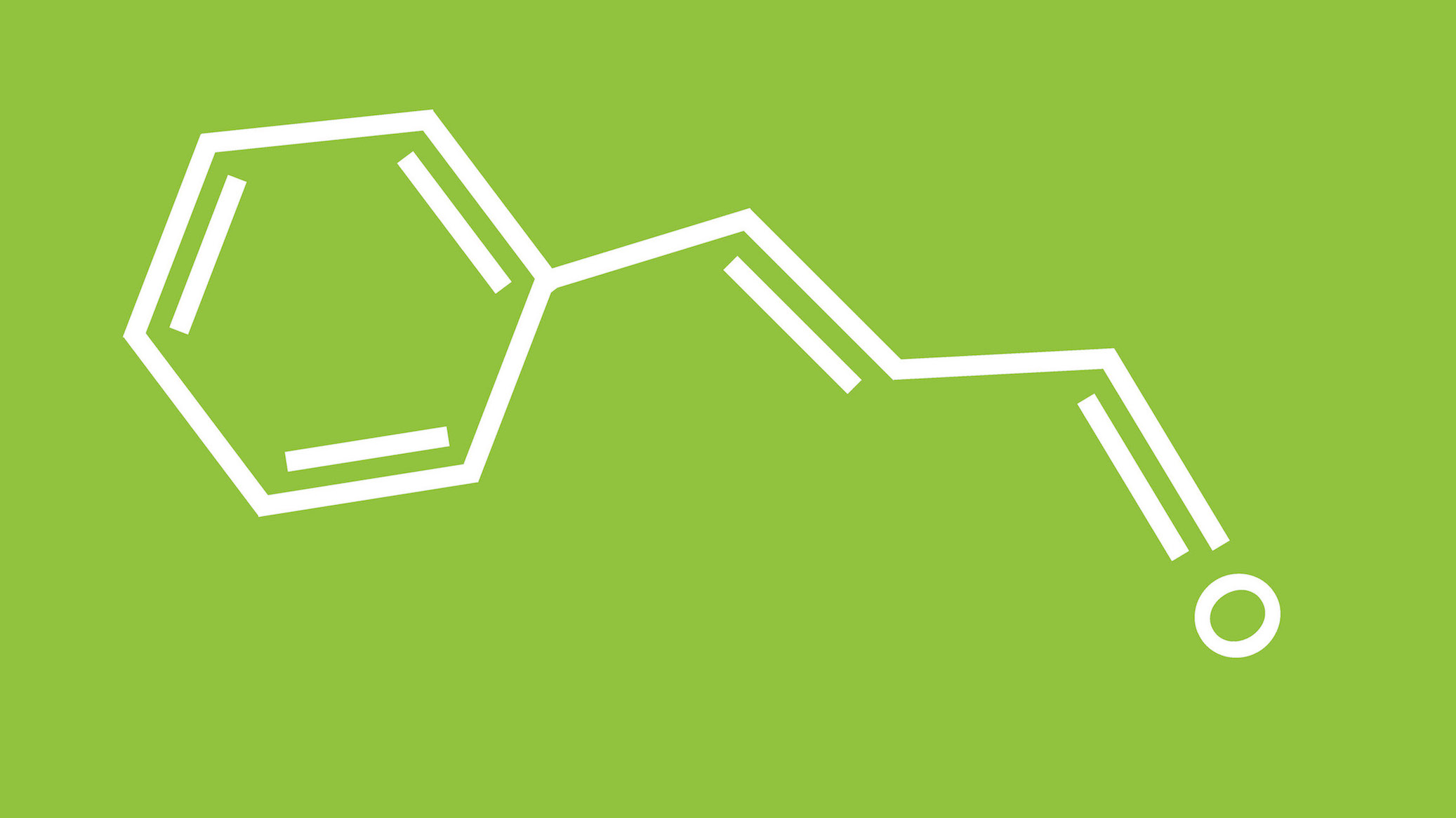 16x9_1000x500_cinnamaldehyde (1).jpg