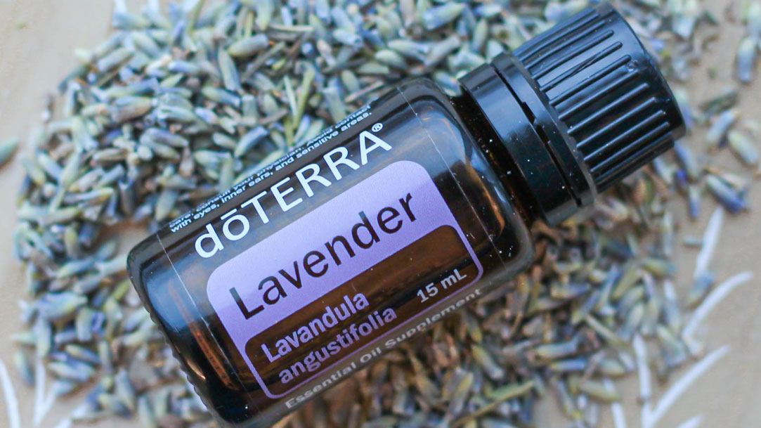16x9_1000x500_sleep_lavender_l_theanine_new.jpg