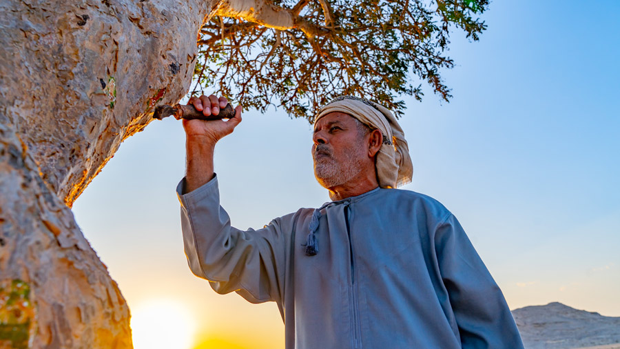 16x9-900x560x-frankincense-national-geographic-story.jpg