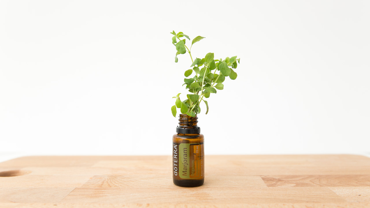 16x9_marjoram_origin_product_blog_us_english_web.jpg