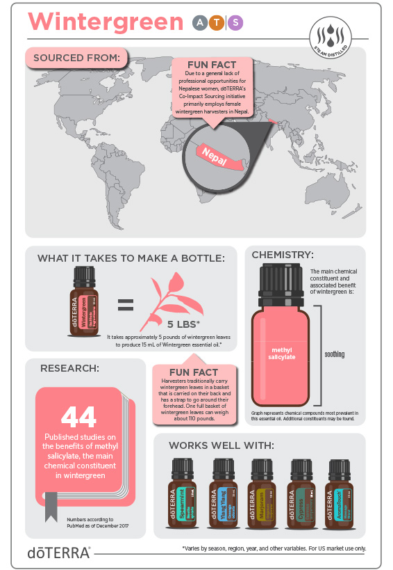 2x3-566x819-wintergreen-infographic.jpg