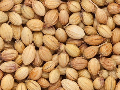 ingrCoriander seeds