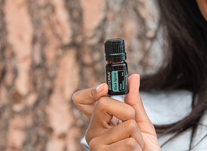 Black Spruce Essential Oil