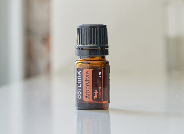 <spring:theme code='text.product.primaryBenefits' text='Primary Benefits'/>