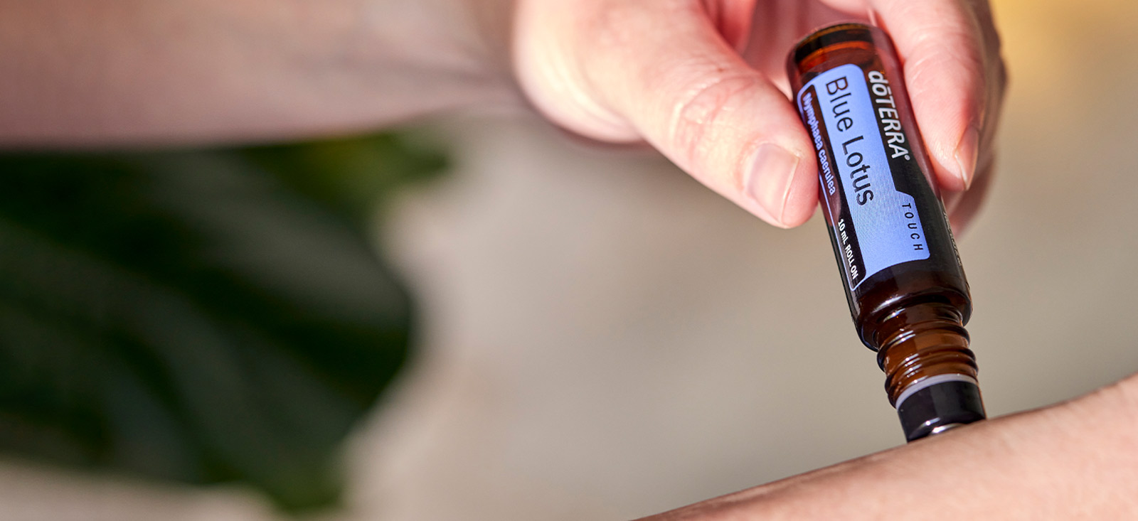 Blue Lotus Touch Image