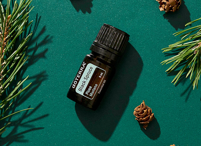 Black Spruce Oil 