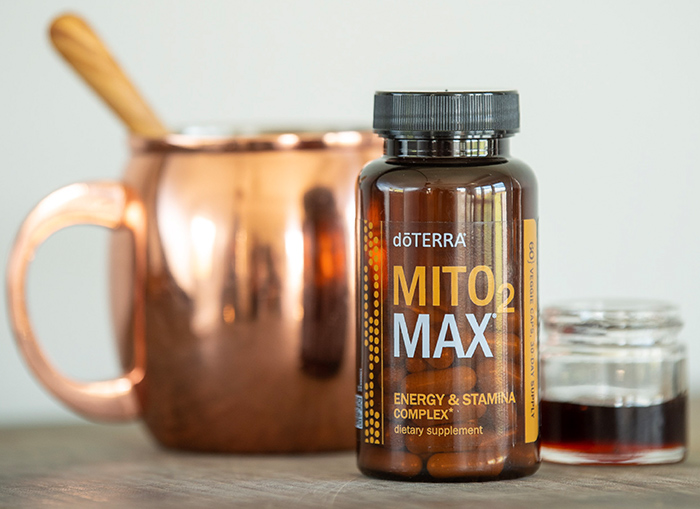 <spring:theme code='text.product.primaryBenefits' text='Primary Benefits'/>