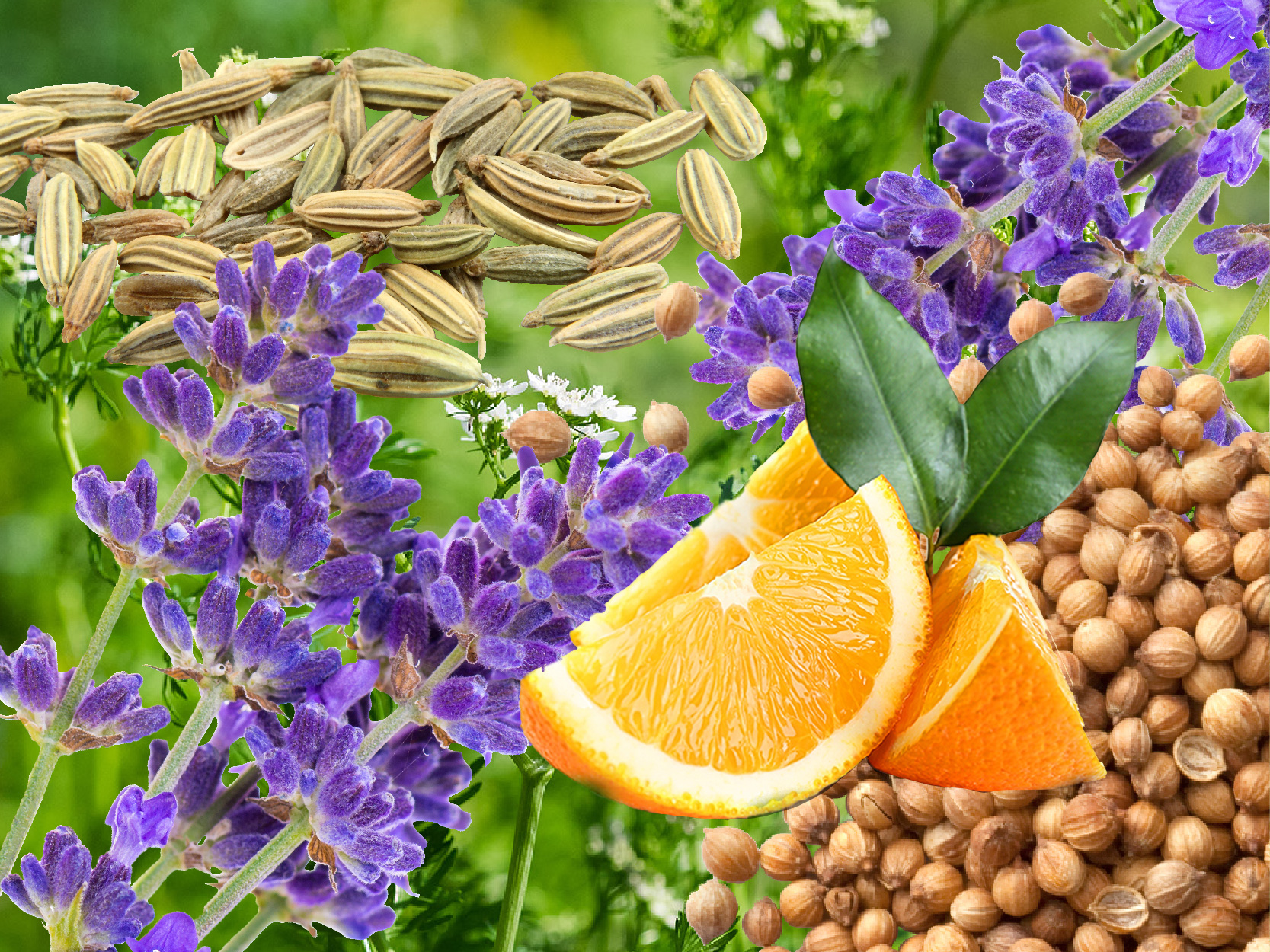 Various Essential oils image