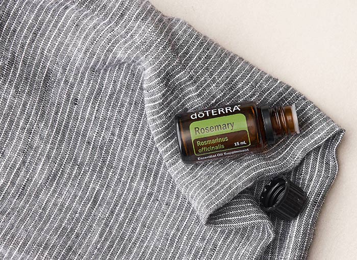 <spring:theme code='text.product.primaryBenefits' text='Primary Benefits'/>