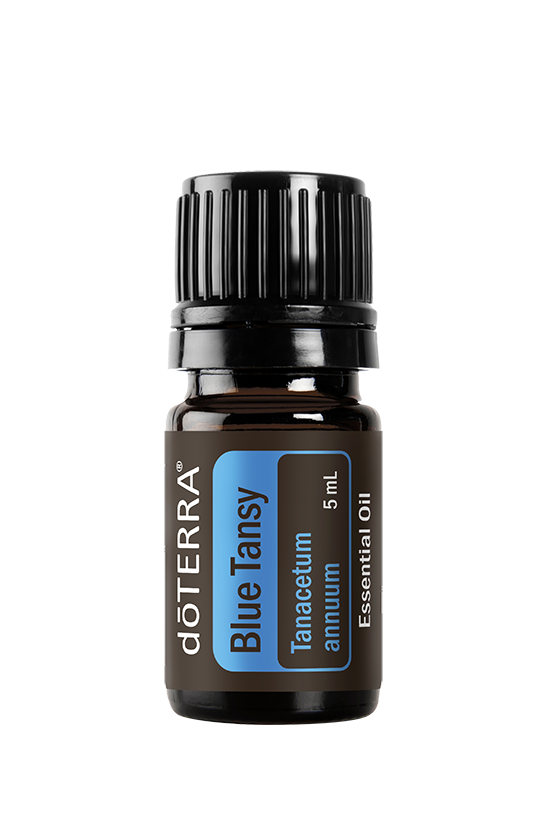 Blue Tansy Essential Oil