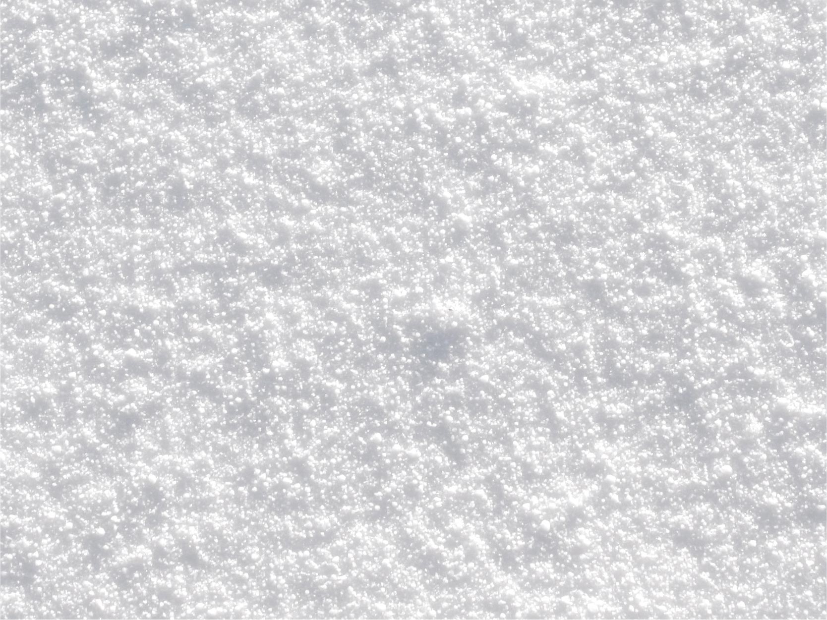 TerraZyme Alpha Galactosidase image