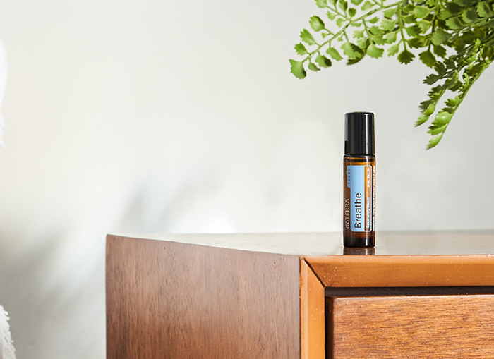 <spring:theme code='text.product.primaryBenefits' text='Primary Benefits'/>