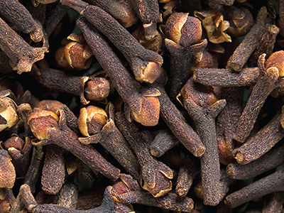 Clove Seed Image