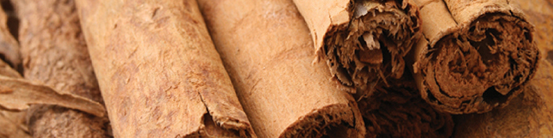 Cinnamon Bark Image