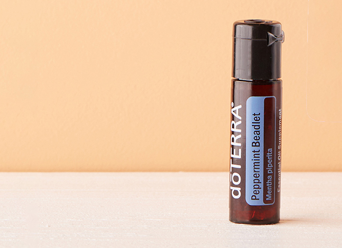 <spring:theme code='text.product.primaryBenefits' text='Primary Benefits'/>