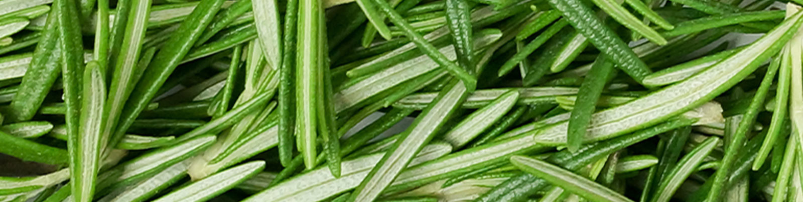 Rosemary leaves