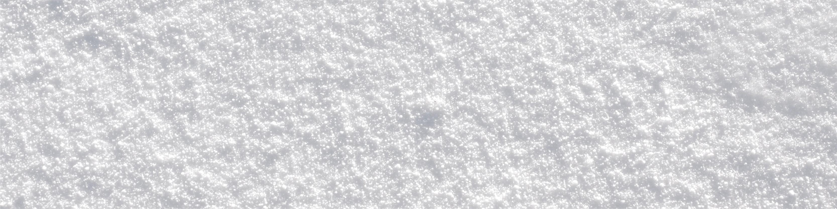 TerraZyme Alpha Galactosidase image