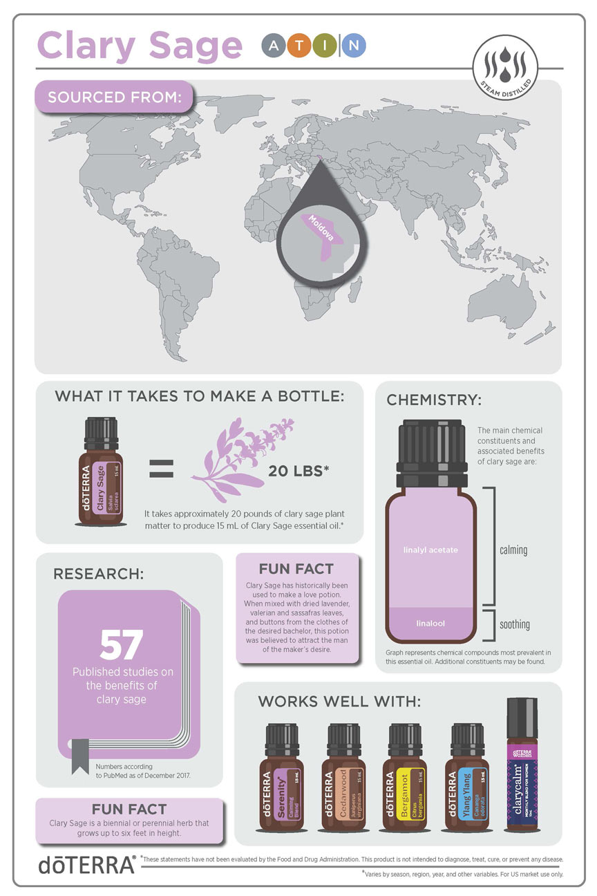 Clary Sage Infographic