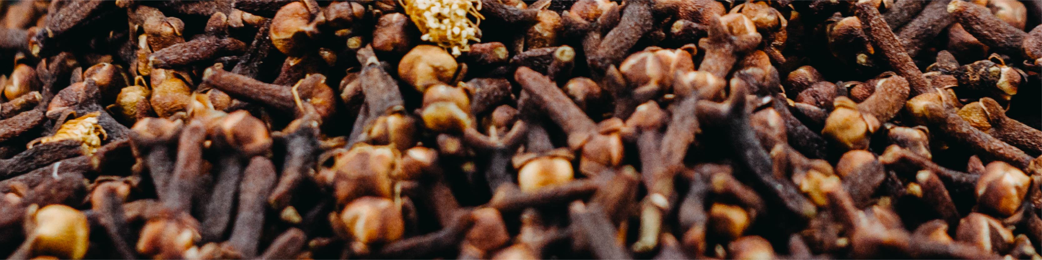 Clove Seed Image
