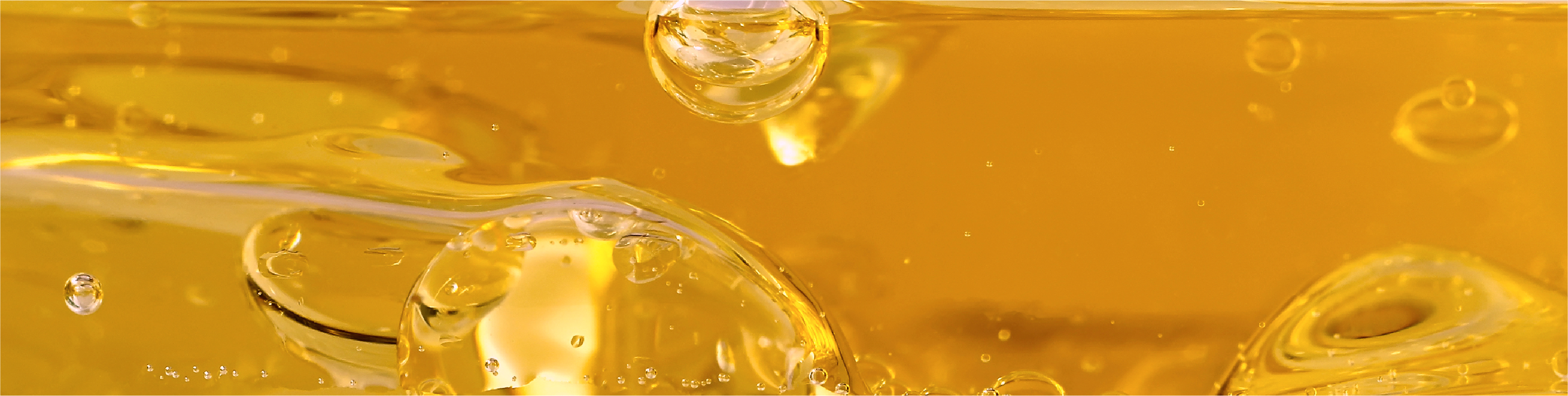 Medium Chain Triglycerides