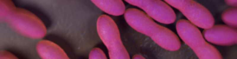 Lactobacillus acidophilus image