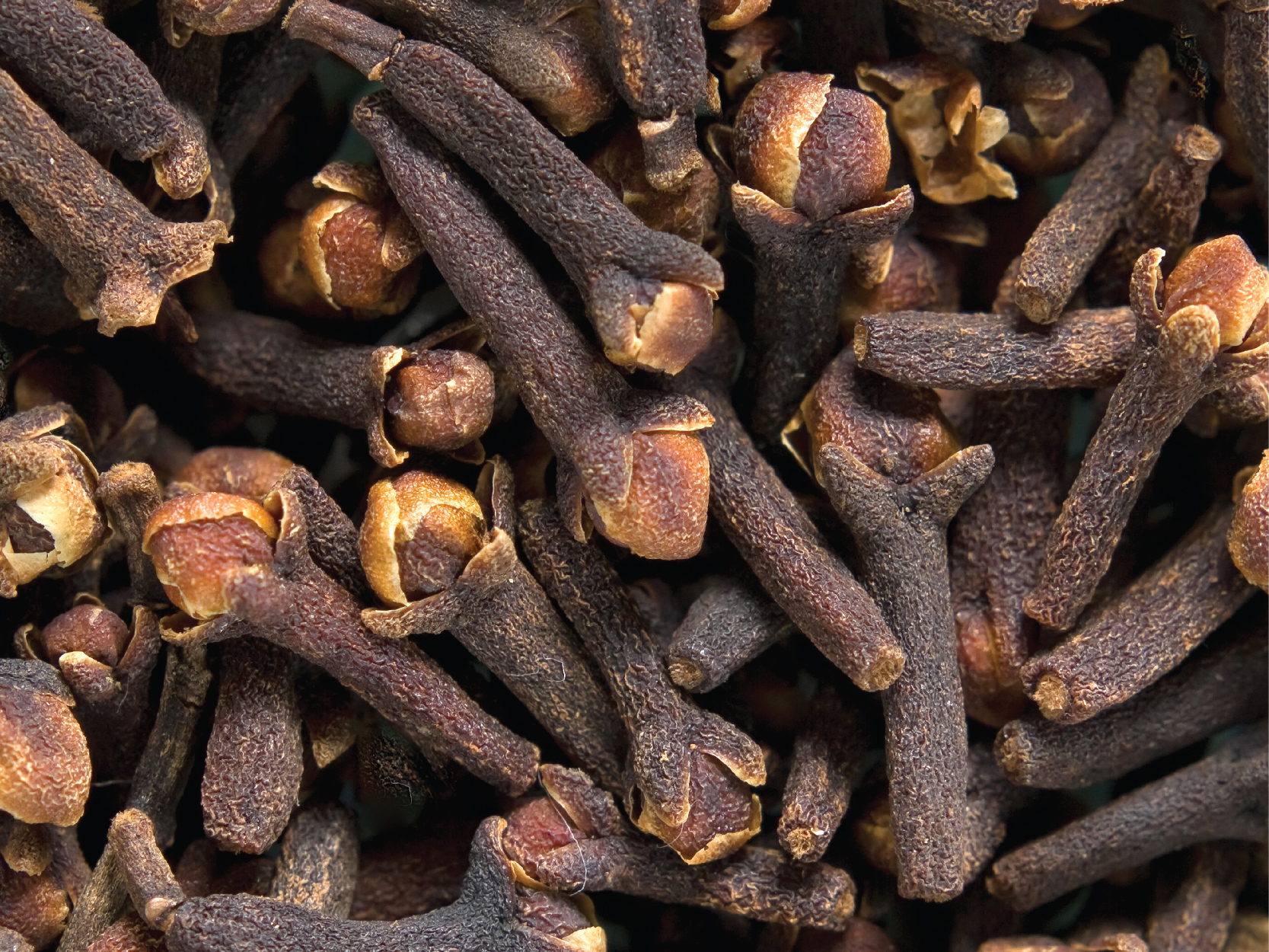 Image of Clove seeds