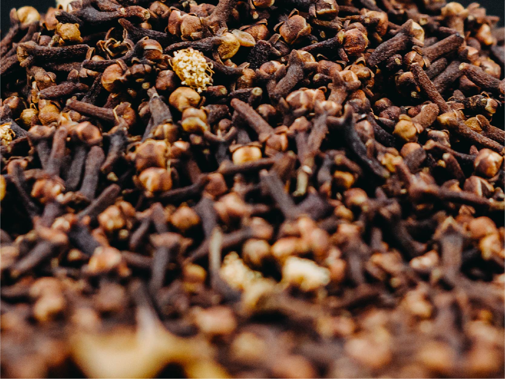 On Guard Beadlets Imagery-08.jpg