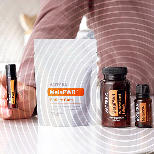 MetaPWR Metabolic Blend Products