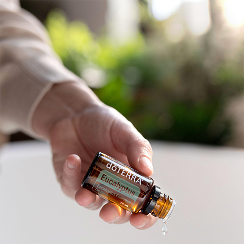 Hand holding Eucalyptus Blend Essential Oil