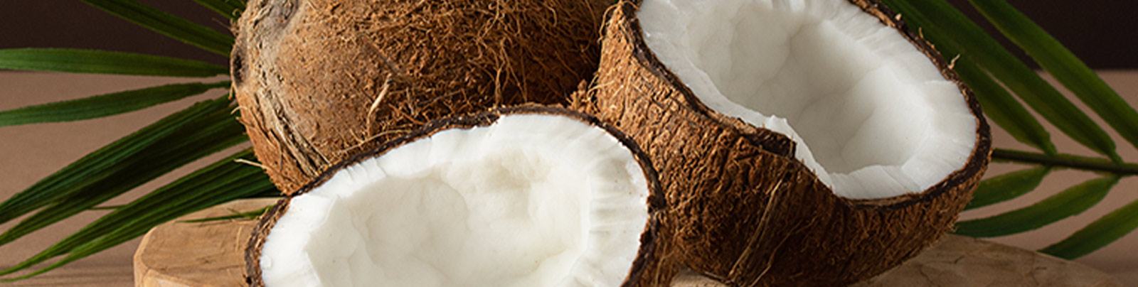 Coconut Image