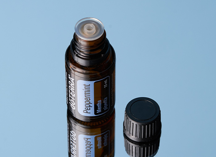 <spring:theme code='text.product.primaryBenefits' text='Primary Benefits'/>