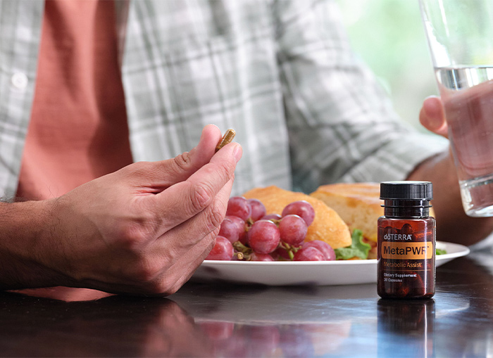 Metapwr Assist Product Image