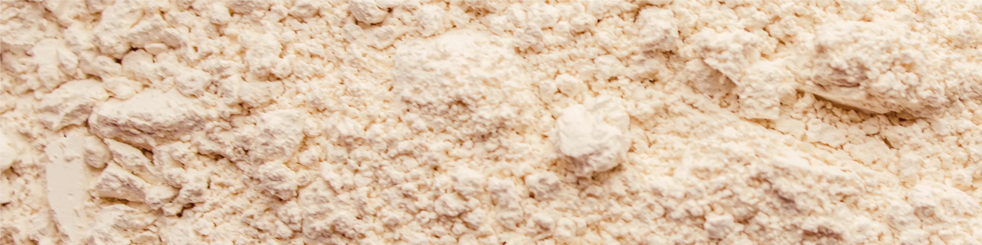 TerraZyme Lipase Image